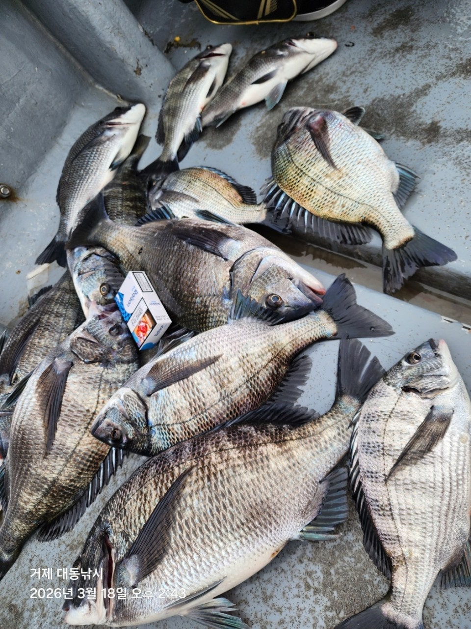 ����ڰ� �ø� �̹���