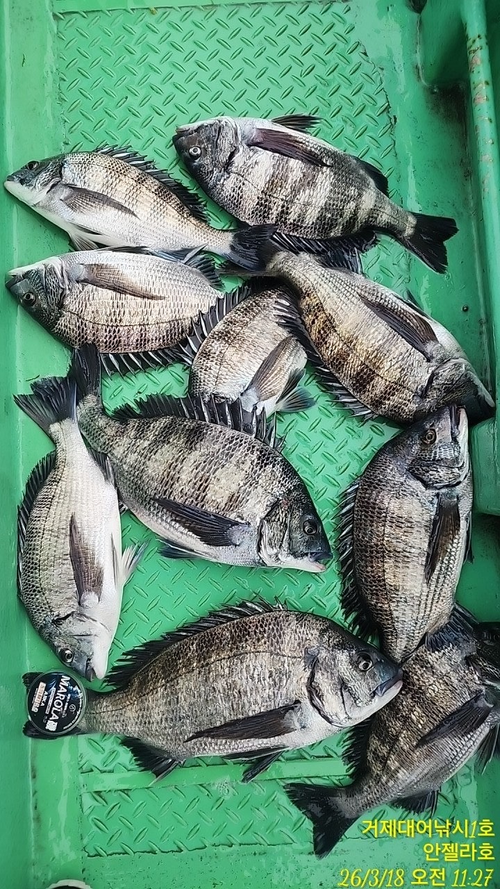 ����ڰ� �ø� �̹���