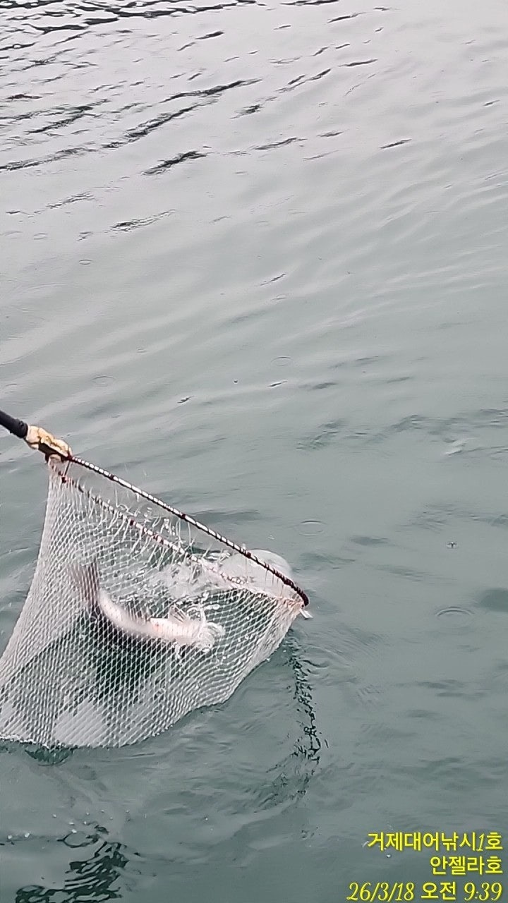 ����ڰ� �ø� �̹���