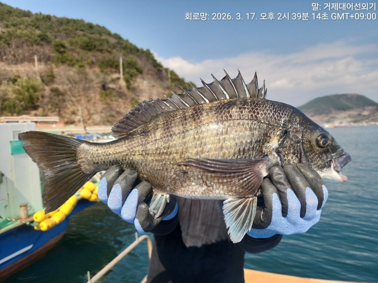 ����ڰ� �ø� �̹���