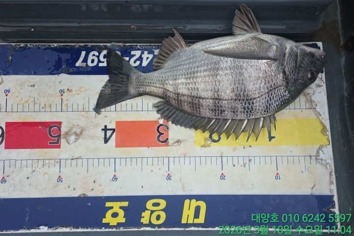 ����ڰ� �ø� �̹���