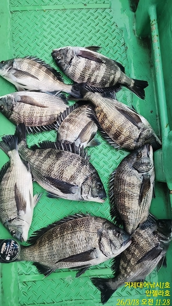 ����ڰ� �ø� �̹���