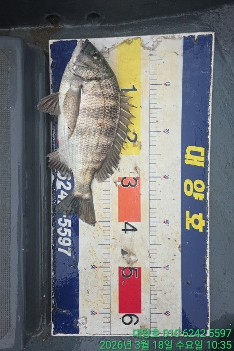 ����ڰ� �ø� �̹���