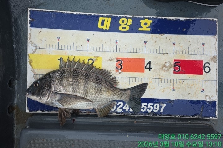 ����ڰ� �ø� �̹���