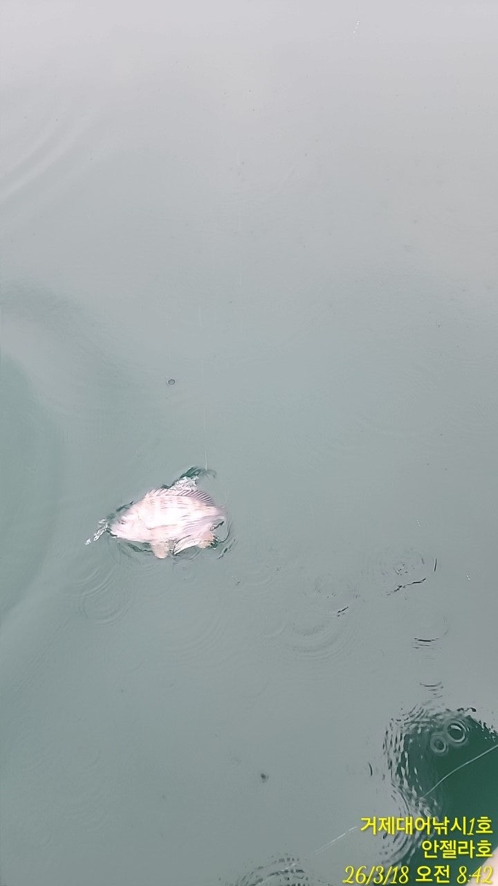 ����ڰ� �ø� �̹���