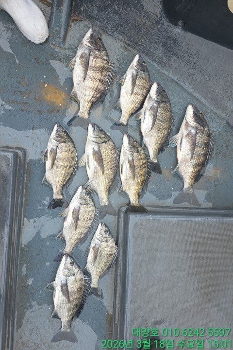 ����ڰ� �ø� �̹���