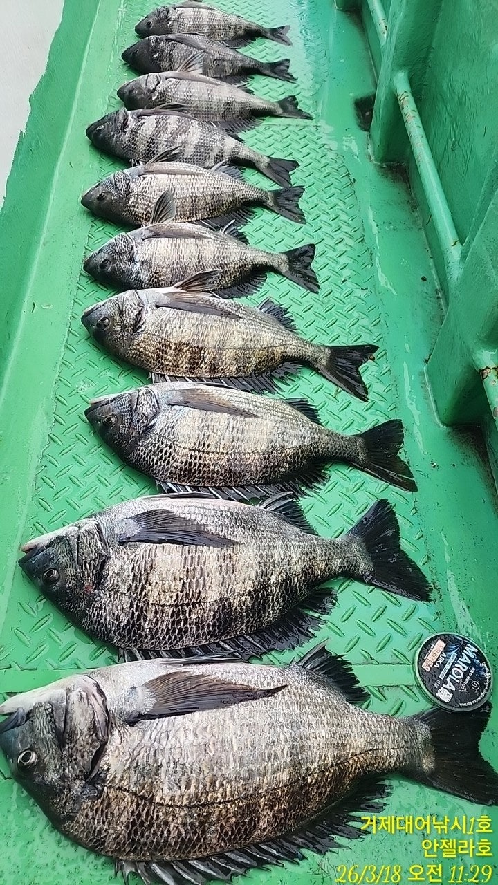 ����ڰ� �ø� �̹���