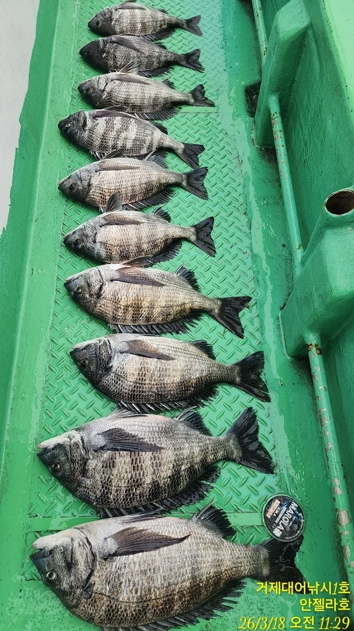 ����ڰ� �ø� �̹���