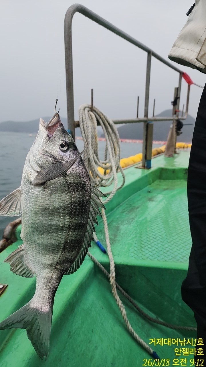 ����ڰ� �ø� �̹���