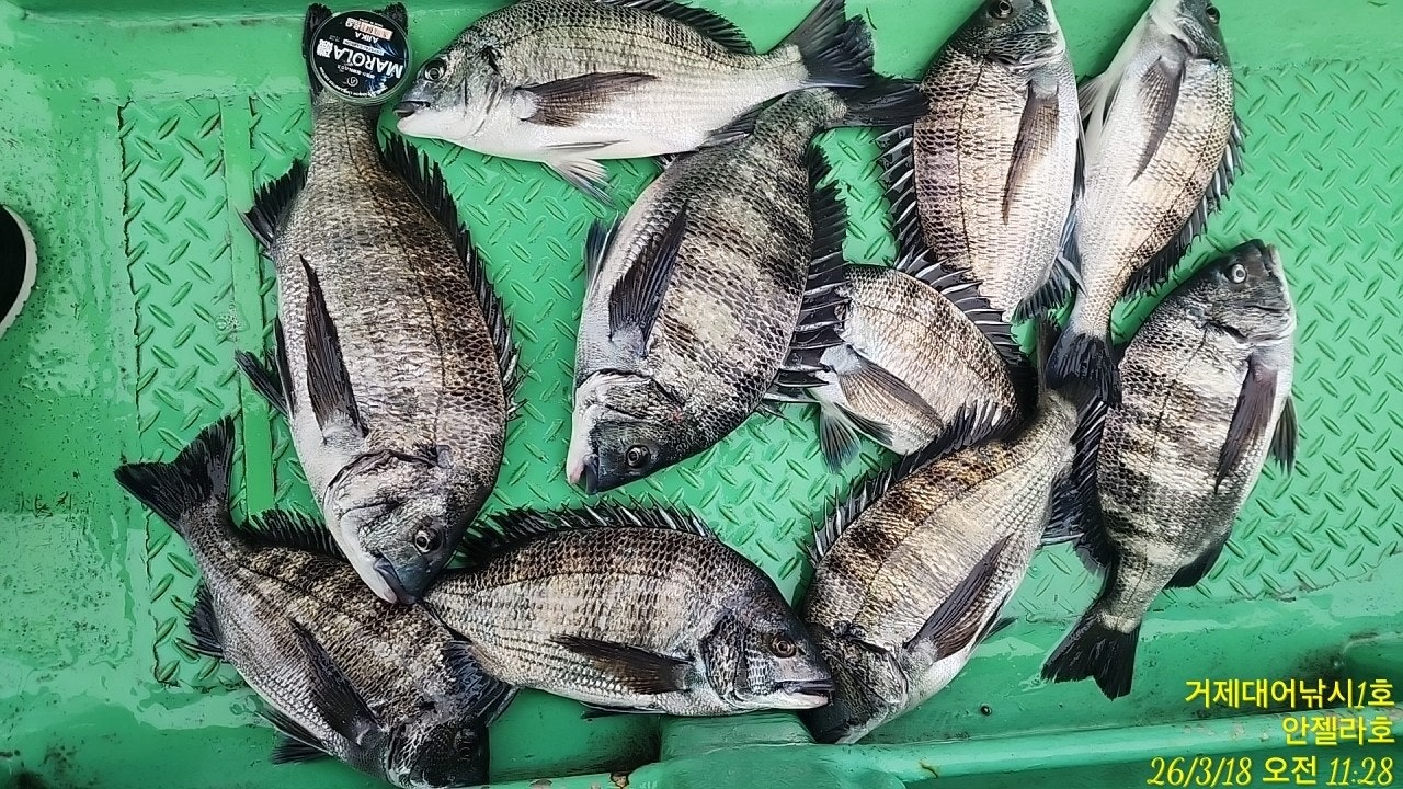 ����ڰ� �ø� �̹���