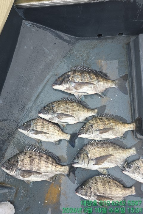 ����ڰ� �ø� �̹���