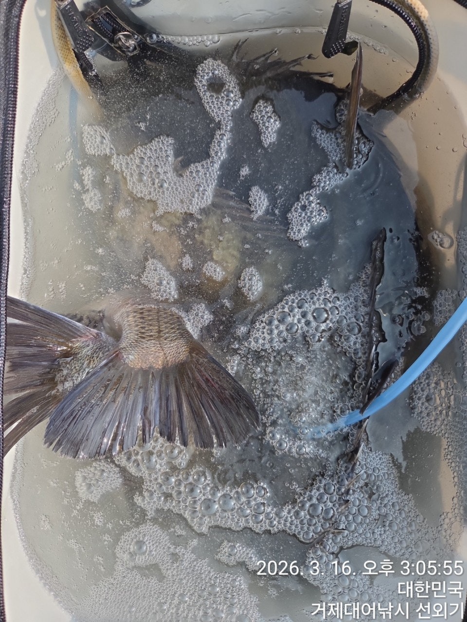 ����ڰ� �ø� �̹���