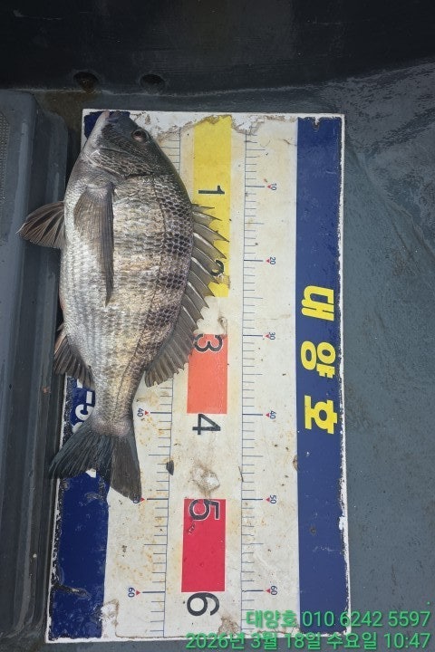 ����ڰ� �ø� �̹���