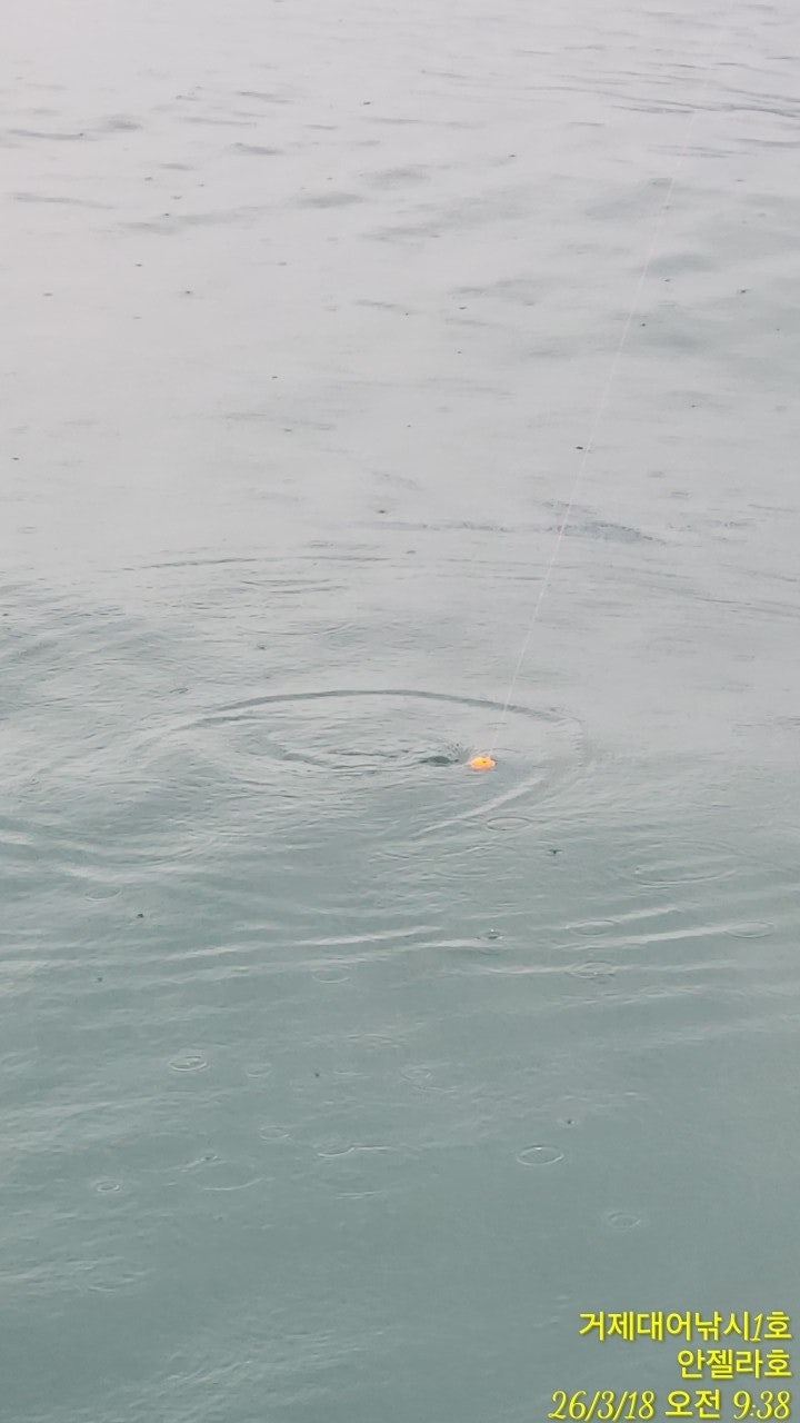 ����ڰ� �ø� �̹���