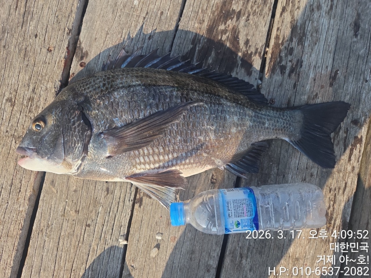 ����ڰ� �ø� �̹���