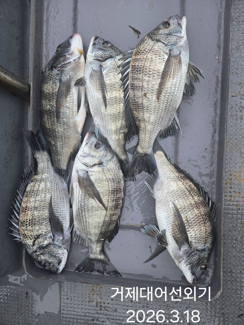 ����ڰ� �ø� �̹���