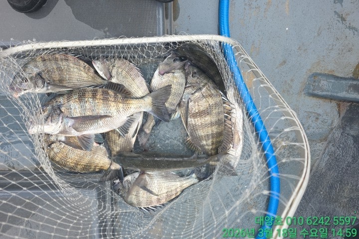 ����ڰ� �ø� �̹���