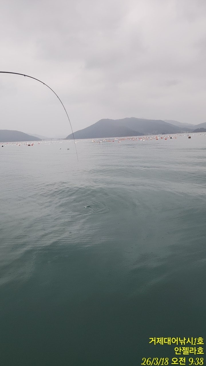 ����ڰ� �ø� �̹���