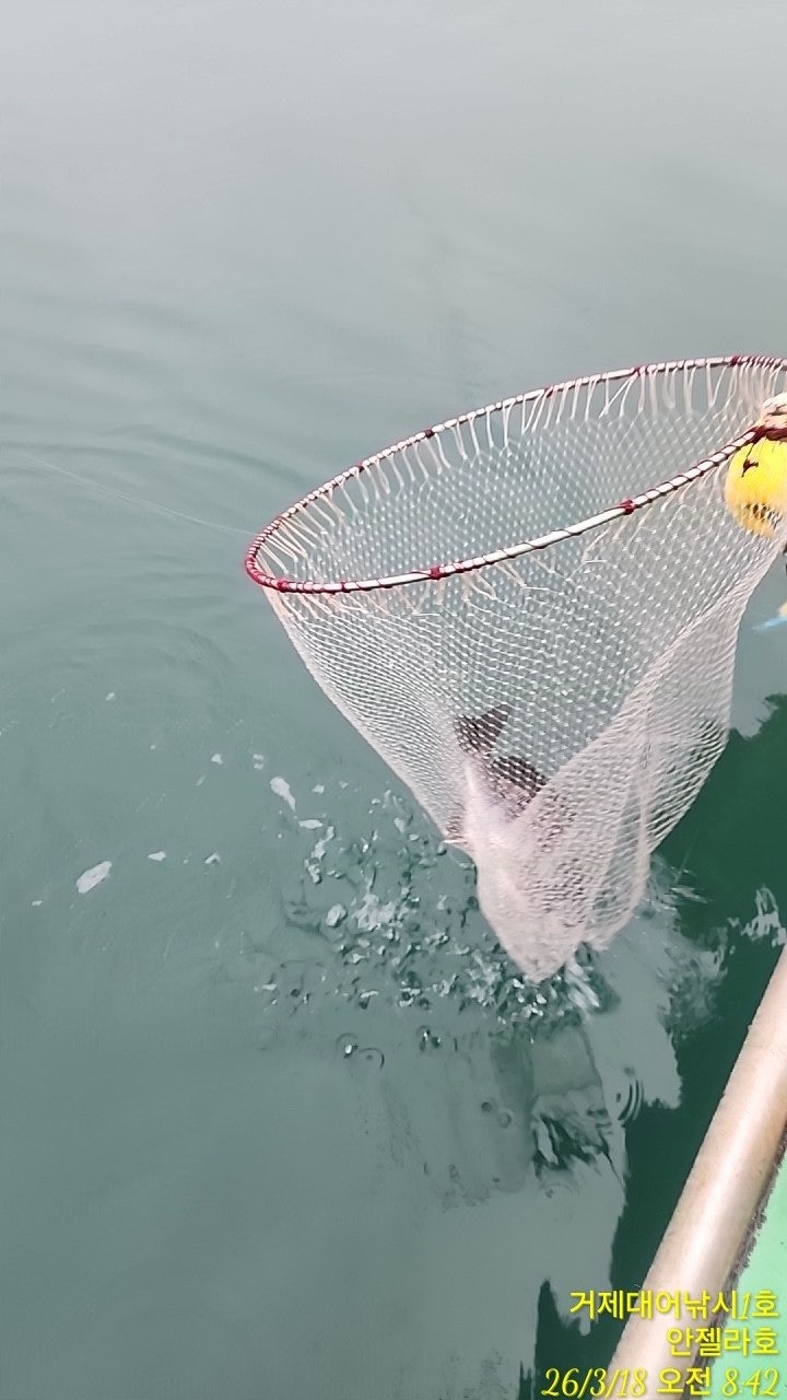 ����ڰ� �ø� �̹���