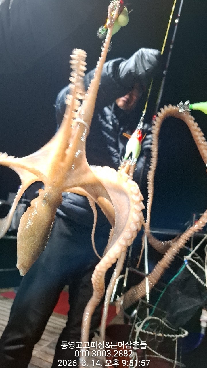 ����ڰ� �ø� �̹���