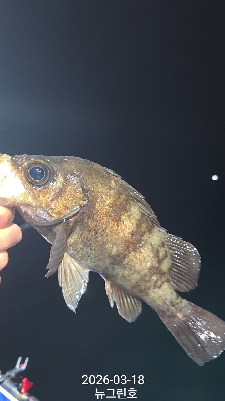 ����ڰ� �ø� �̹���