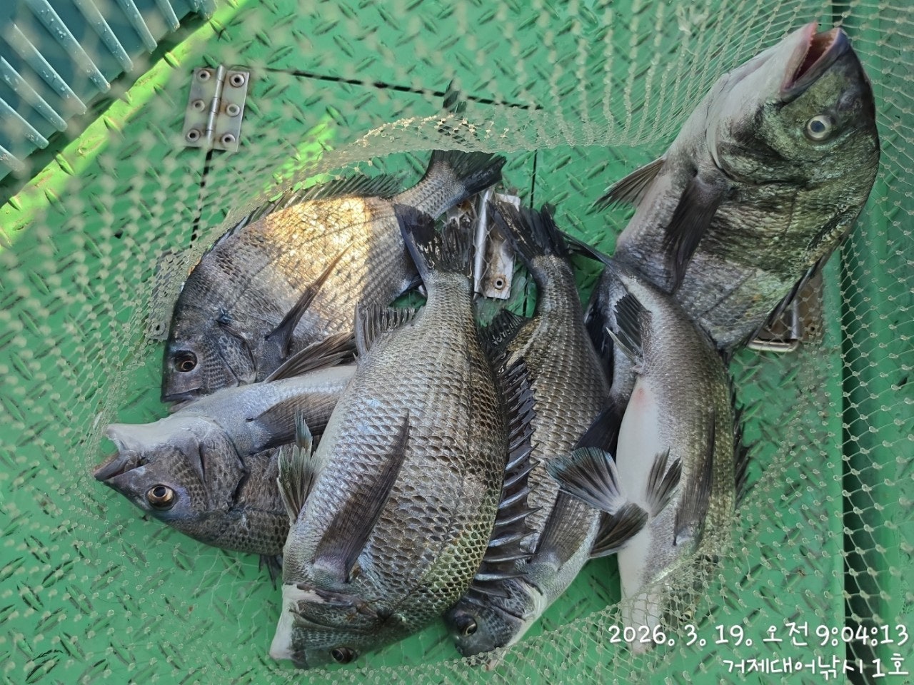 ����ڰ� �ø� �̹���