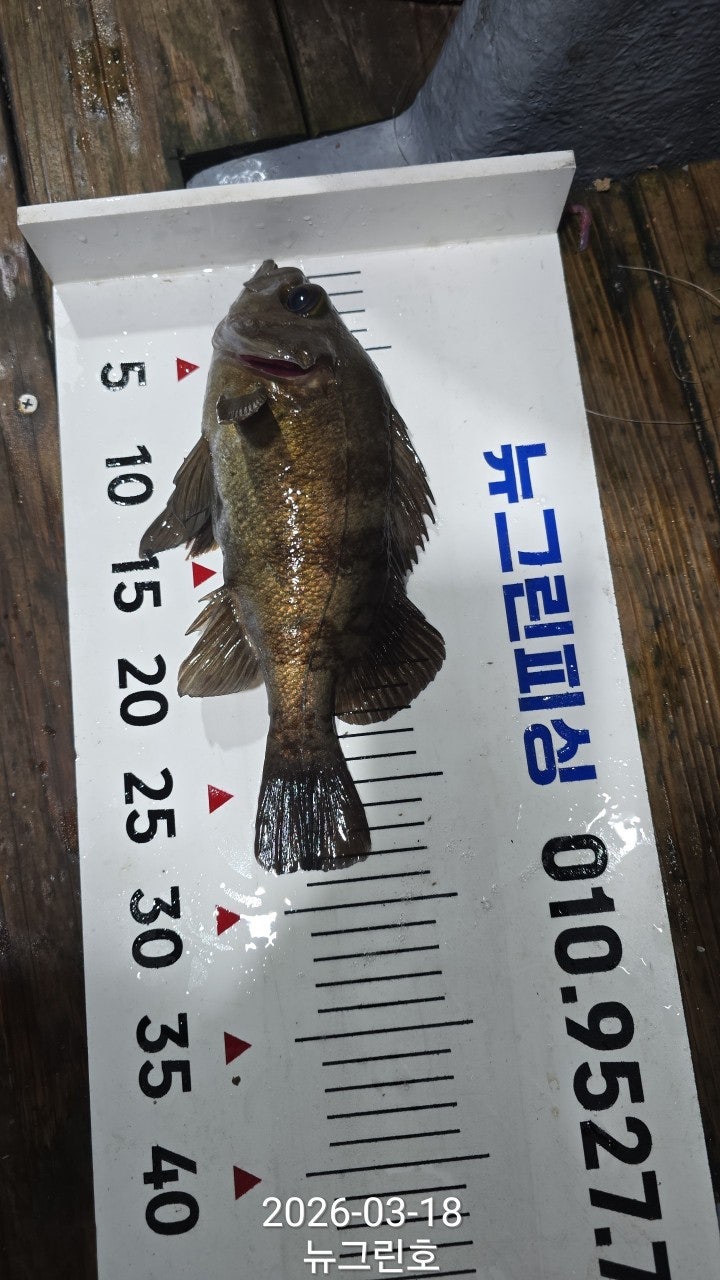 ����ڰ� �ø� �̹���