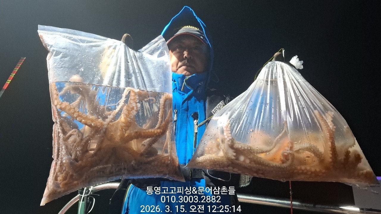 ����ڰ� �ø� �̹���