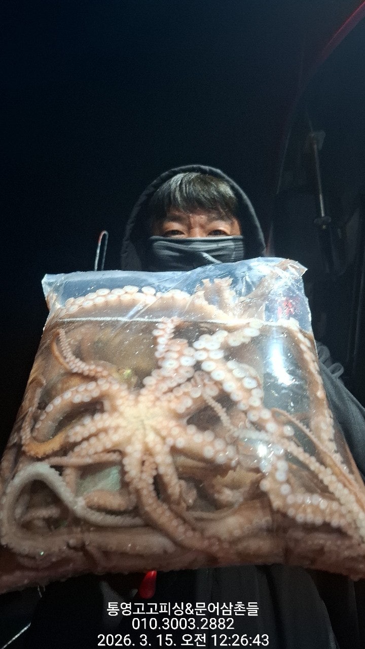 ����ڰ� �ø� �̹���