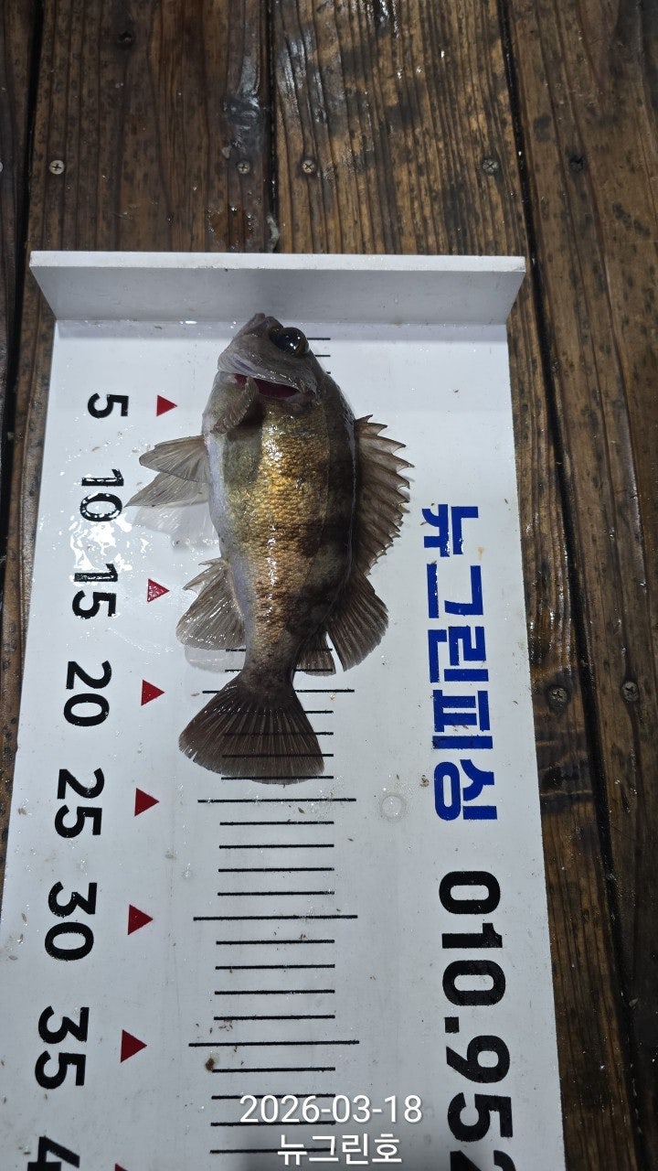 ����ڰ� �ø� �̹���