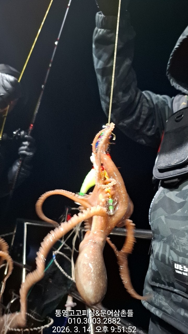 ����ڰ� �ø� �̹���