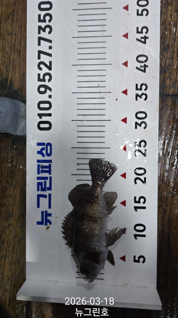 ����ڰ� �ø� �̹���