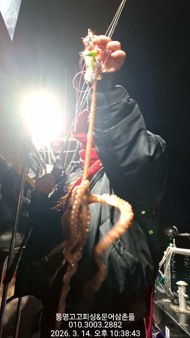 ����ڰ� �ø� �̹���