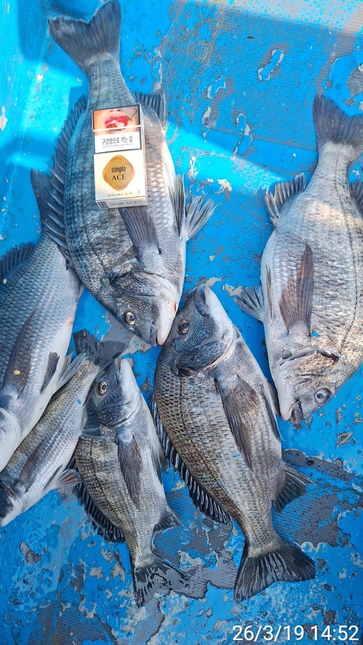 ����ڰ� �ø� �̹���