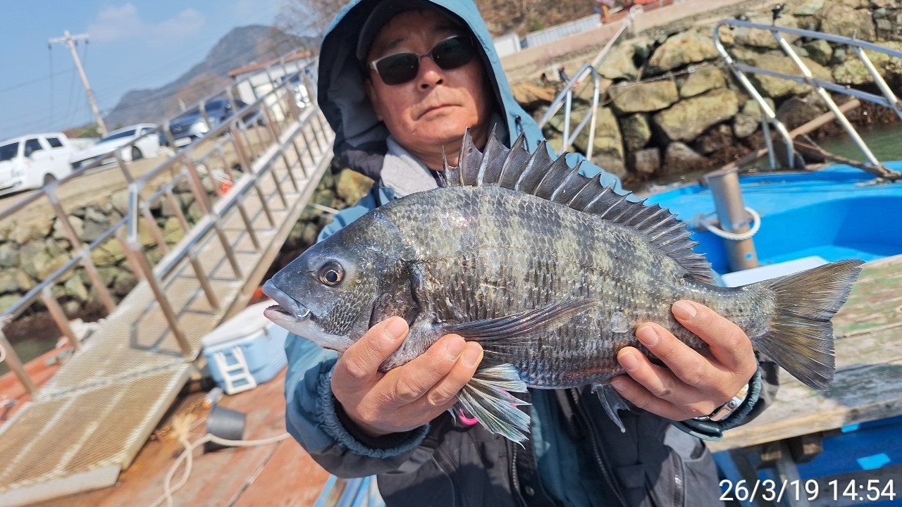 ����ڰ� �ø� �̹���