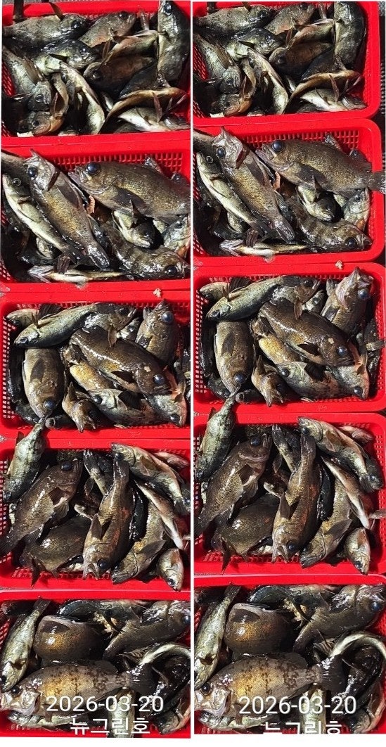 ����ڰ� �ø� �̹���