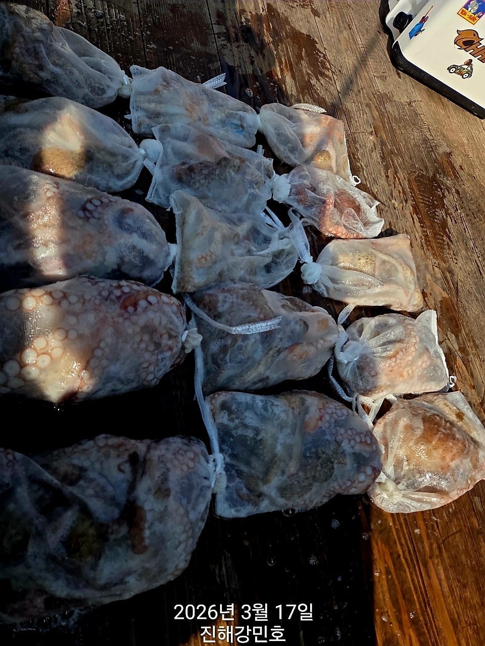 ����ڰ� �ø� �̹���