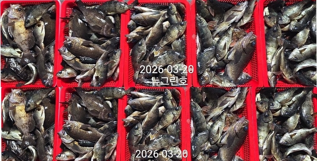 ����ڰ� �ø� �̹���