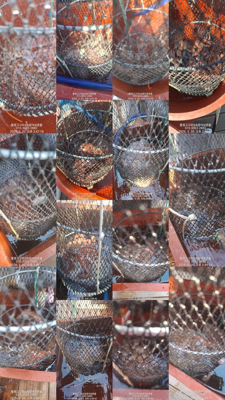 ����ڰ� �ø� �̹���