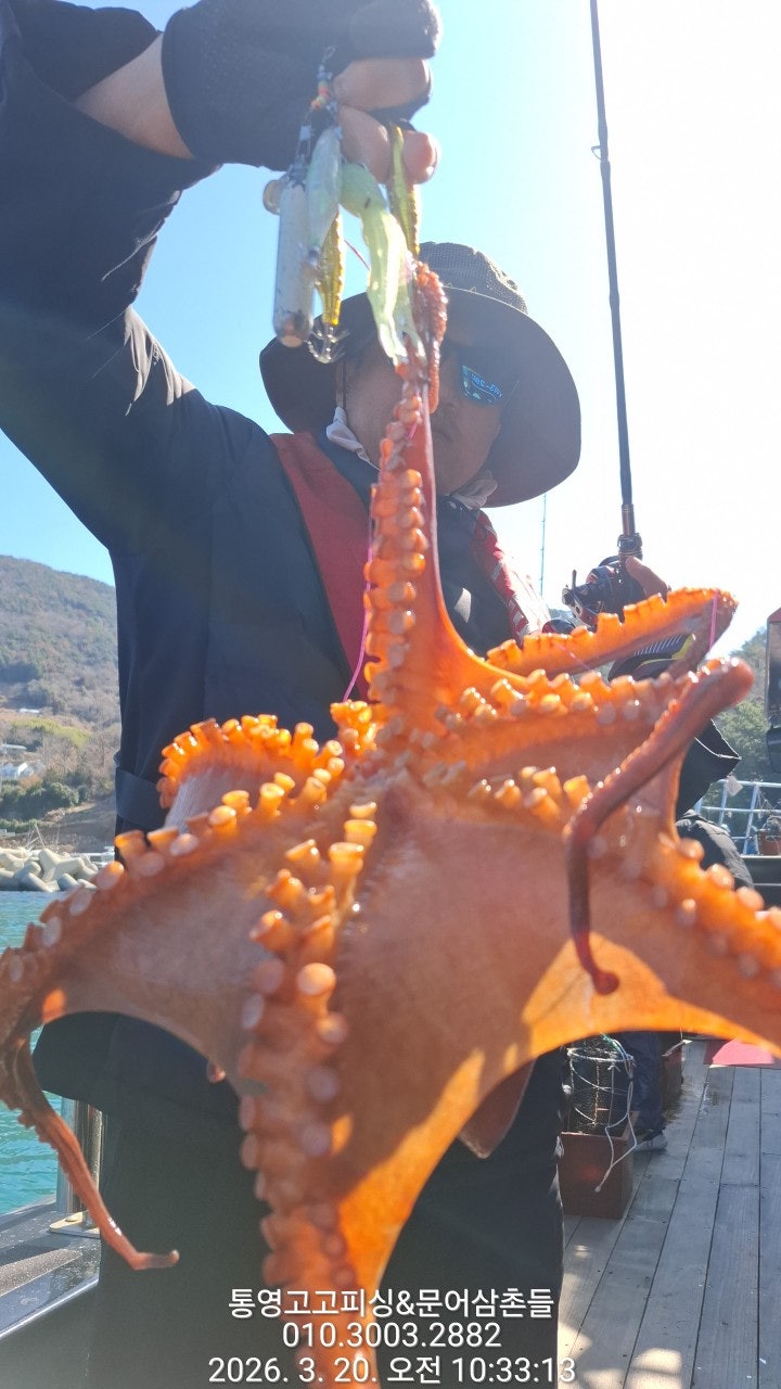 ����ڰ� �ø� �̹���