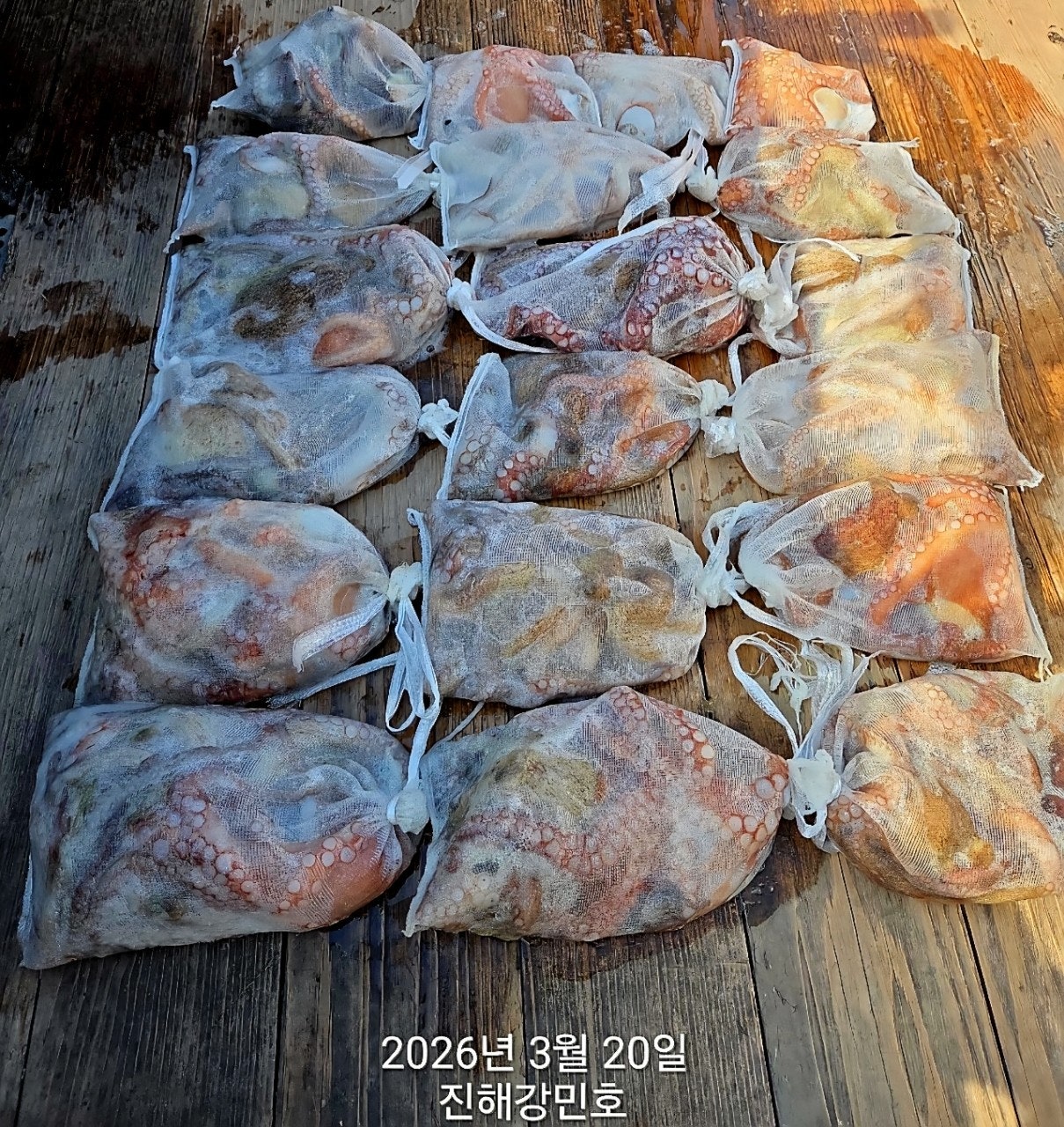 ����ڰ� �ø� �̹���