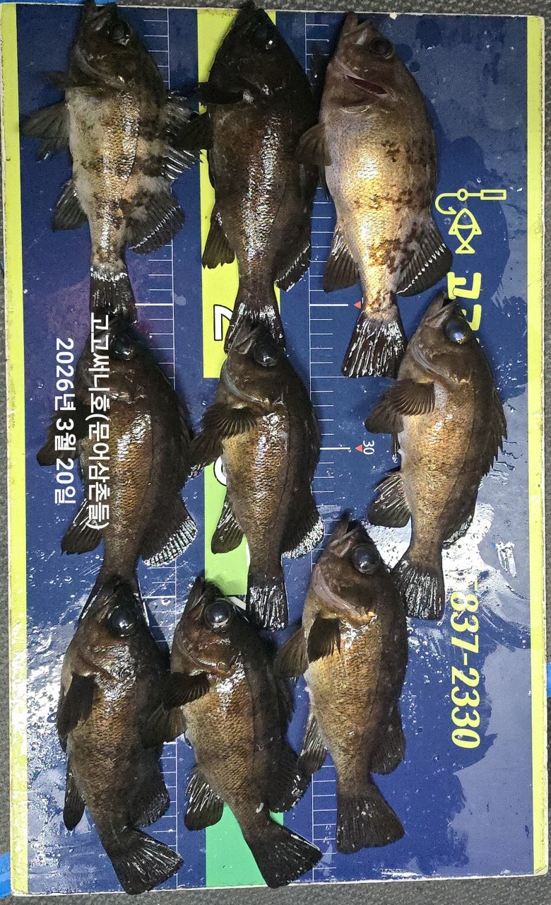 ����ڰ� �ø� �̹���