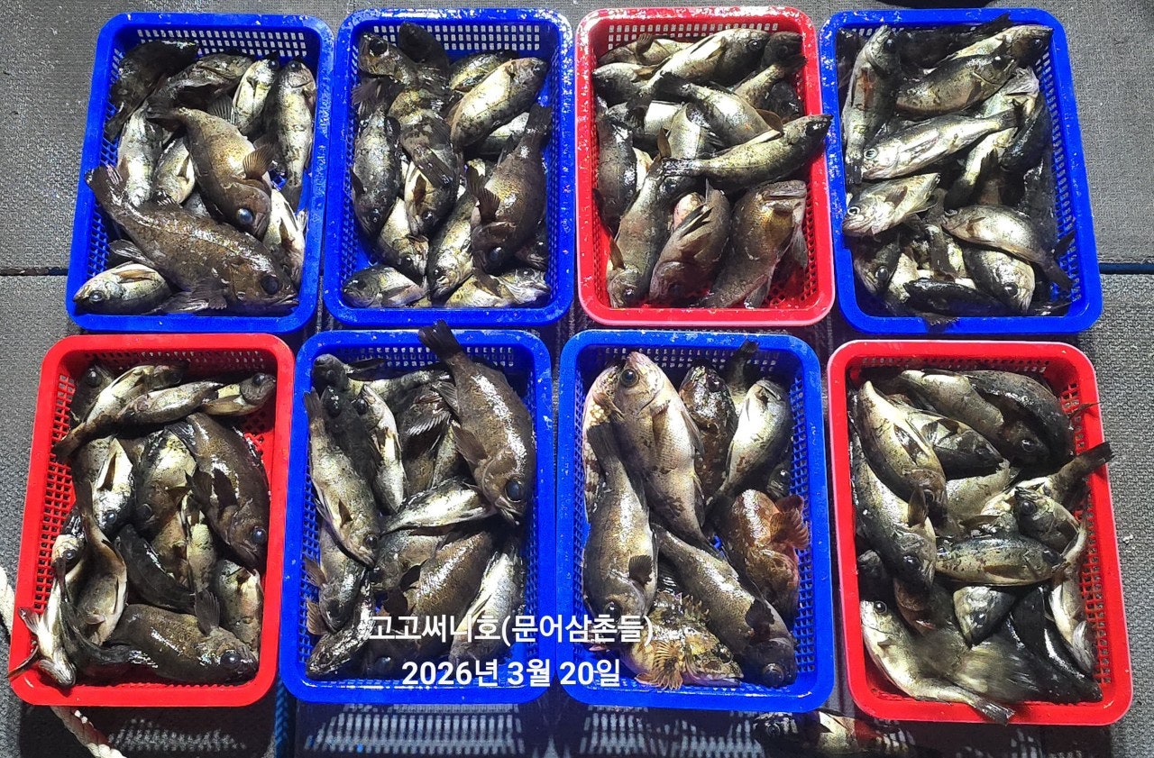 ����ڰ� �ø� �̹���