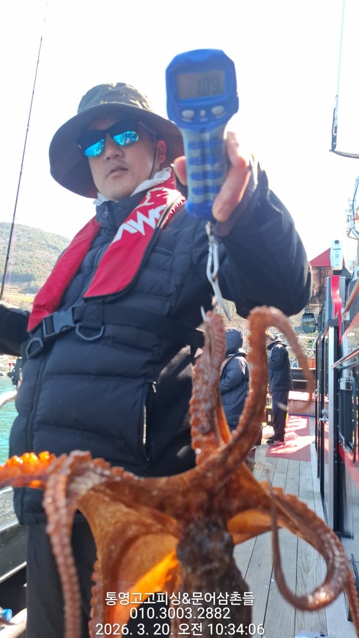 ����ڰ� �ø� �̹���