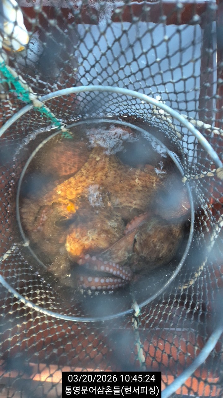 ����ڰ� �ø� �̹���