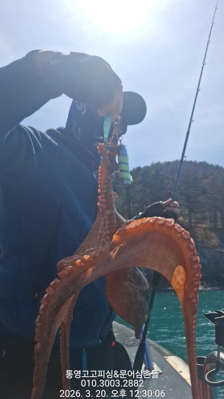 ����ڰ� �ø� �̹���