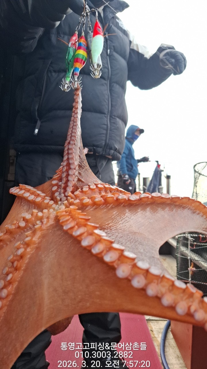 ����ڰ� �ø� �̹���