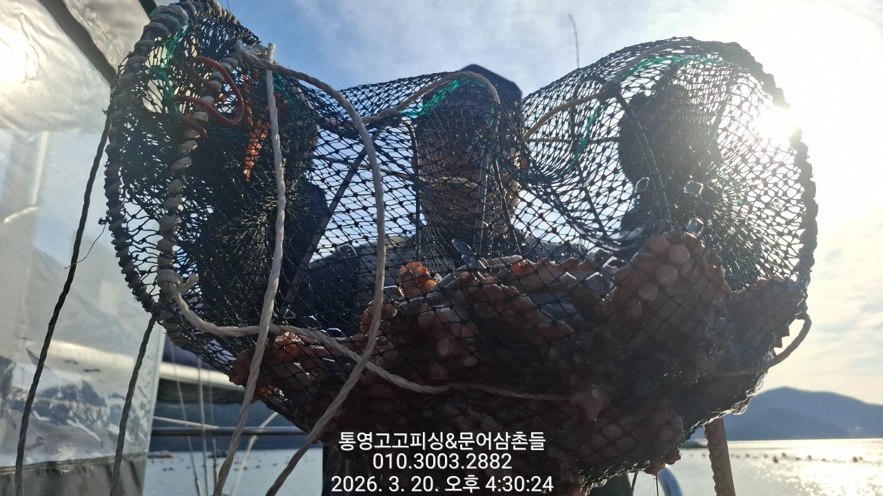 ����ڰ� �ø� �̹���