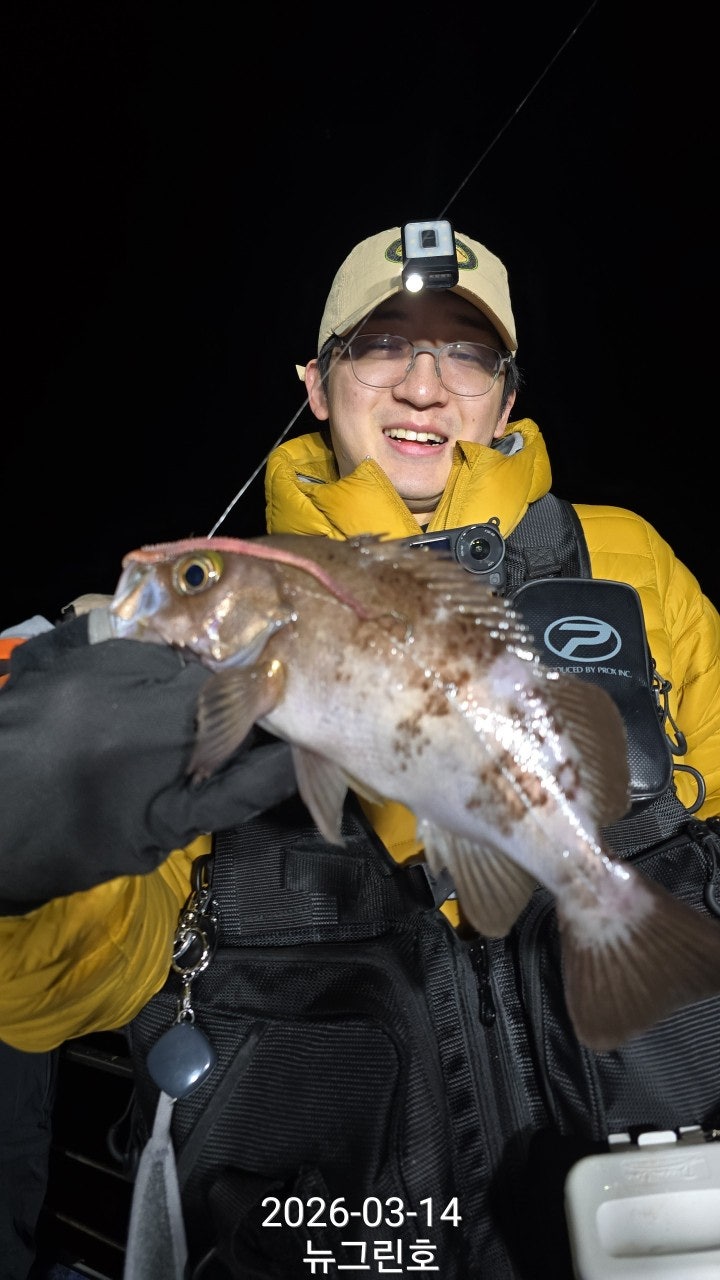 ����ڰ� �ø� �̹���