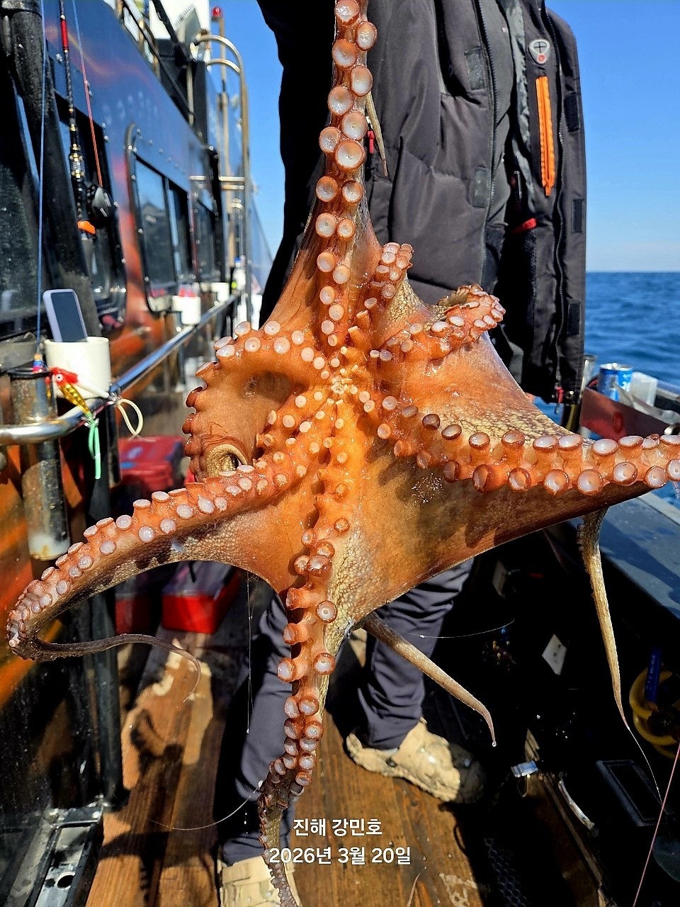 ����ڰ� �ø� �̹���